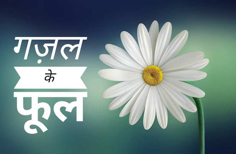 ये रिश्ता जल चुका है तुम राख उठाने आओगी क्या  मुसाफ़िर